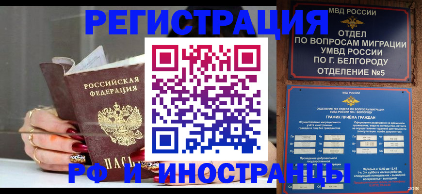 прописка в Химках